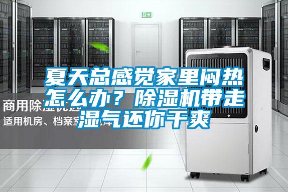 夏天總感覺(jué)家里悶熱怎么辦？除濕機(jī)帶走濕氣還你干爽