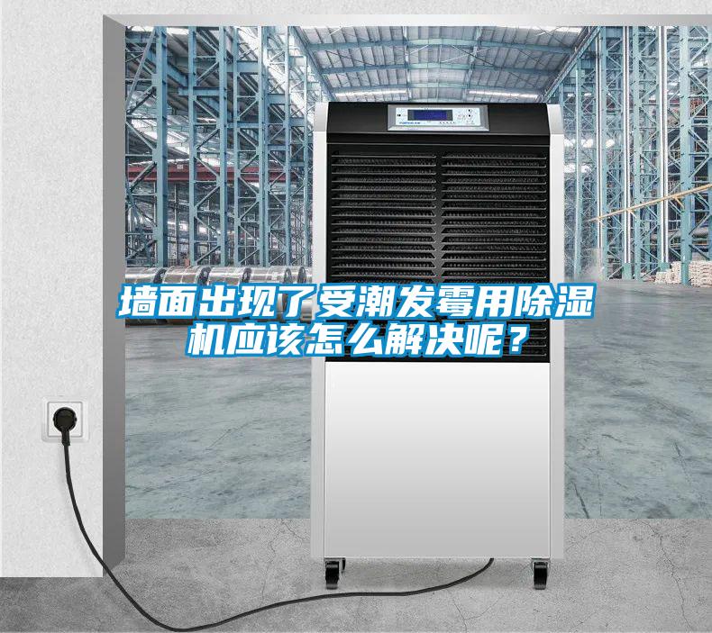 墻面出現(xiàn)了受潮發(fā)霉用除濕機應該怎么解決呢？