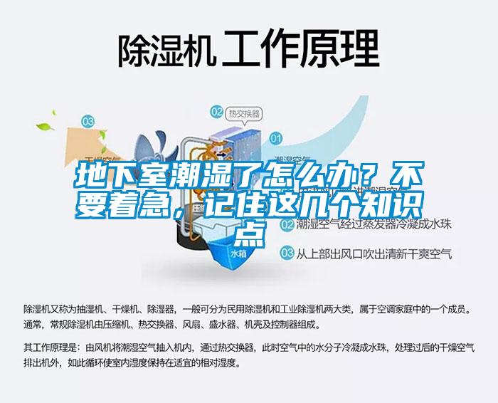地下室潮濕了怎么辦？不要著急，記住這幾個(gè)知識(shí)點(diǎn)