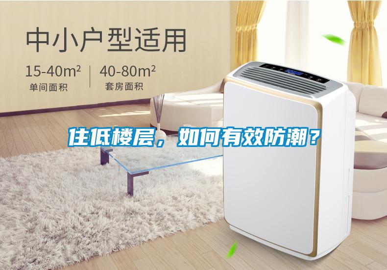 住低樓層，如何有效防潮？