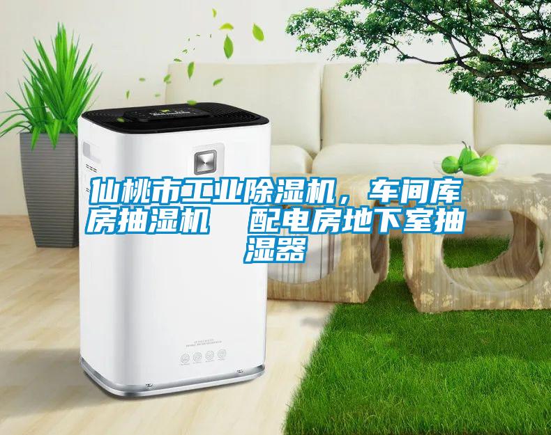 仙桃市工業(yè)除濕機(jī)，車間庫(kù)房抽濕機(jī)  配電房地下室抽濕器