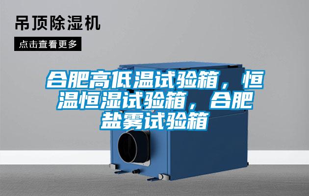 合肥高低溫試驗箱，恒溫恒濕試驗箱，合肥鹽霧試驗箱