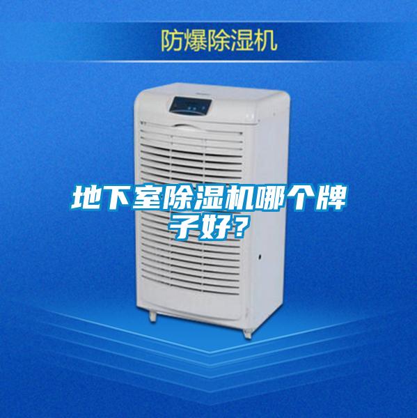 地下室除濕機哪個牌子好？