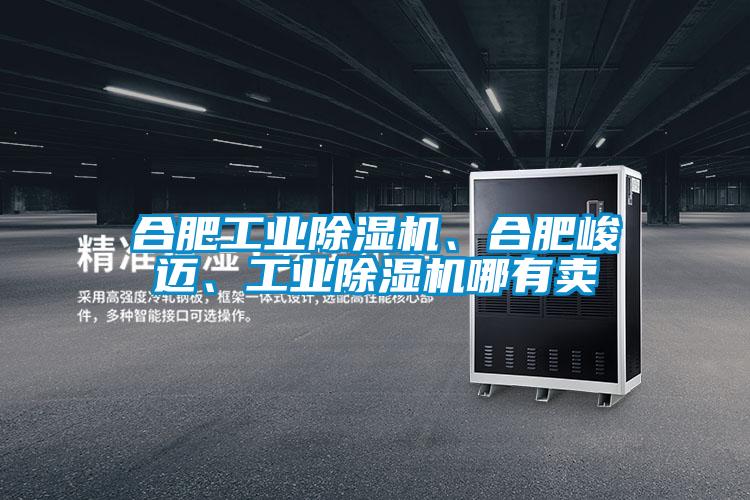 合肥工業(yè)除濕機(jī)、合肥峻邁、工業(yè)除濕機(jī)哪有賣