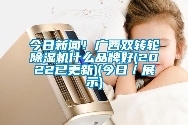今日新聞！廣西雙轉(zhuǎn)輪除濕機(jī)什么品牌好(2022已更新)(今日／展示)