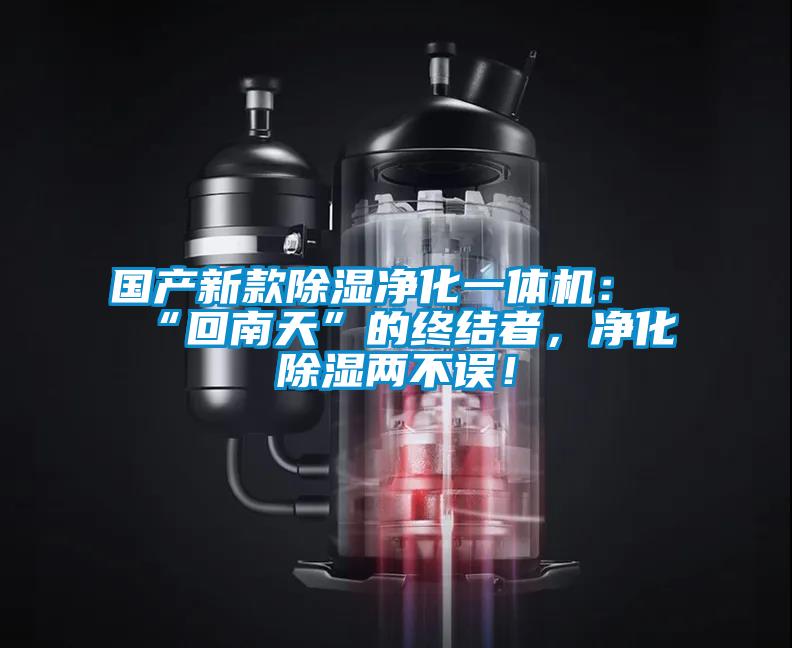 國(guó)產(chǎn)新款除濕凈化一體機(jī)：“回南天”的終結(jié)者，凈化除濕兩不誤！