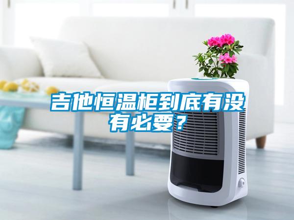 吉他恒溫柜到底有沒有必要？