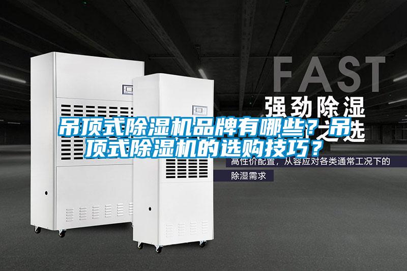 吊頂式除濕機品牌有哪些？吊頂式除濕機的選購技巧？