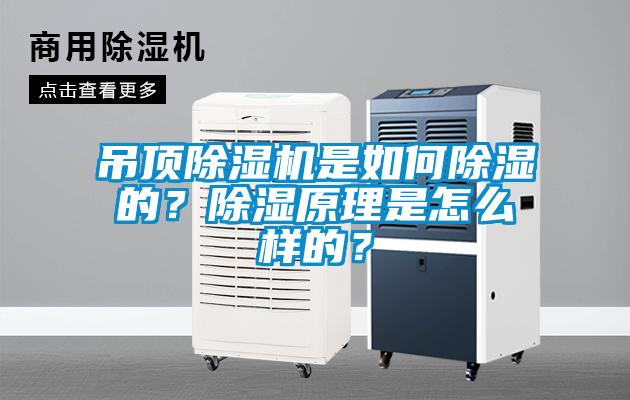 吊頂除濕機是如何除濕的？除濕原理是怎么樣的？