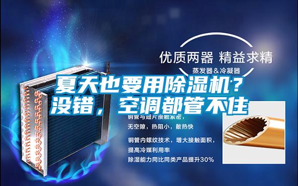 夏天也要用除濕機(jī)？沒(méi)錯(cuò)，空調(diào)都管不住