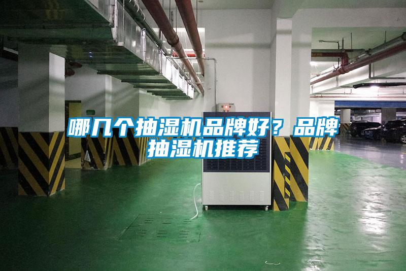 哪幾個(gè)抽濕機(jī)品牌好？品牌抽濕機(jī)推薦
