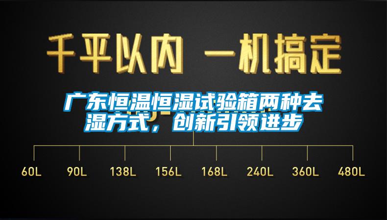 廣東恒溫恒濕試驗(yàn)箱兩種去濕方式，創(chuàng)新引領(lǐng)進(jìn)步