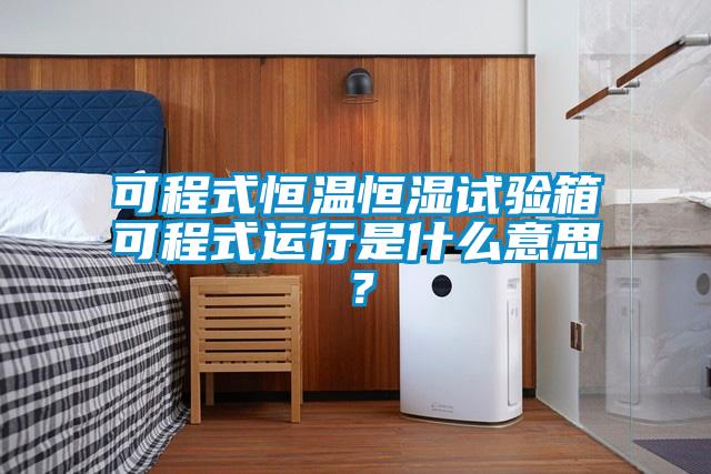 可程式恒溫恒濕試驗箱可程式運行是什么意思？