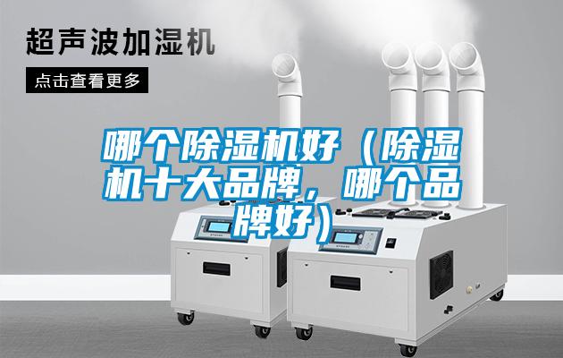 哪個(gè)除濕機(jī)好（除濕機(jī)十大品牌，哪個(gè)品牌好）