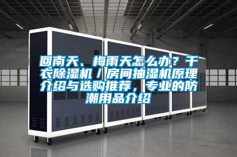 回南天、梅雨天怎么辦？干衣除濕機／房間抽濕機原理介紹與選購推薦，專業(yè)的防潮用品介紹