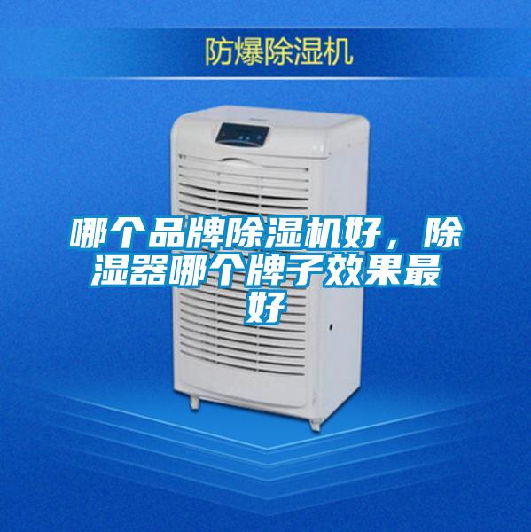 哪個(gè)品牌除濕機(jī)好，除濕器哪個(gè)牌子效果最好
