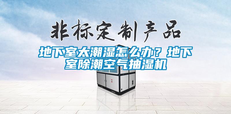 地下室太潮濕怎么辦？地下室除潮空氣抽濕機(jī)