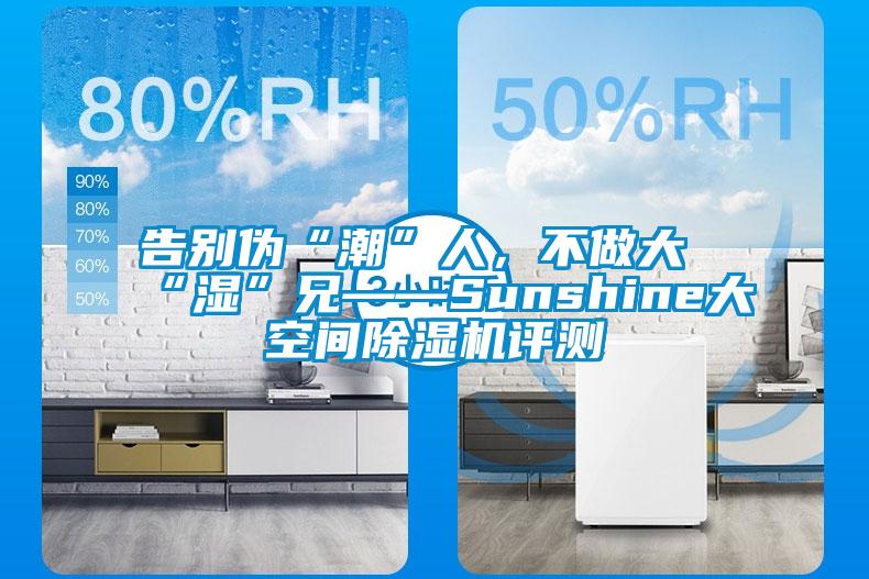 告別偽“潮”人，不做大“濕”兄——Sunshine大空間除濕機(jī)評測