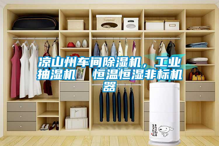 涼山州車間除濕機(jī)，工業(yè)抽濕機(jī)  恒溫恒濕非標(biāo)機(jī)器