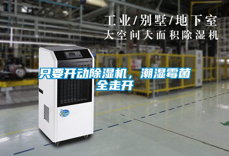 只要開動(dòng)除濕機(jī)，潮濕霉菌全走開