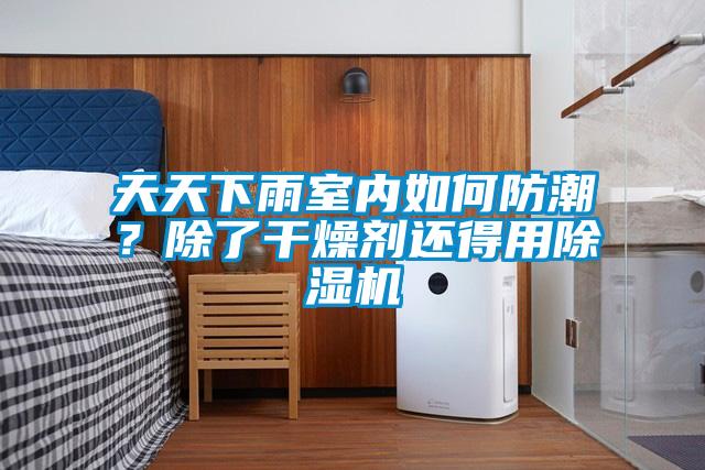 天天下雨室內(nèi)如何防潮？除了干燥劑還得用除濕機(jī)