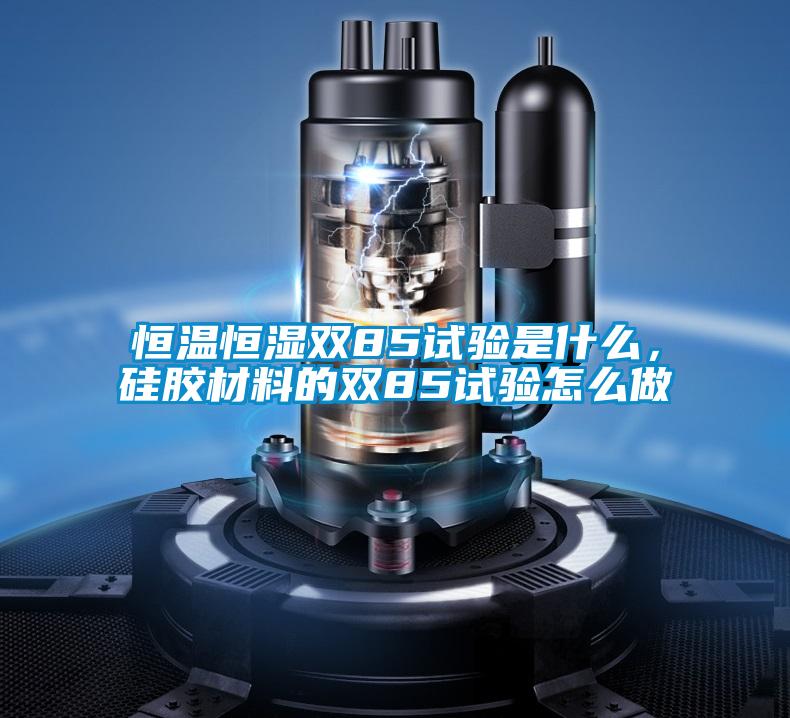 恒溫恒濕雙85試驗是什么，硅膠材料的雙85試驗怎么做