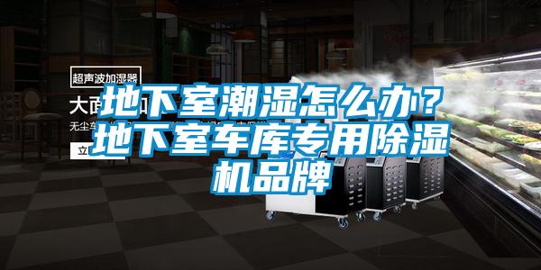 地下室潮濕怎么辦？地下室車庫(kù)專用除濕機(jī)品牌