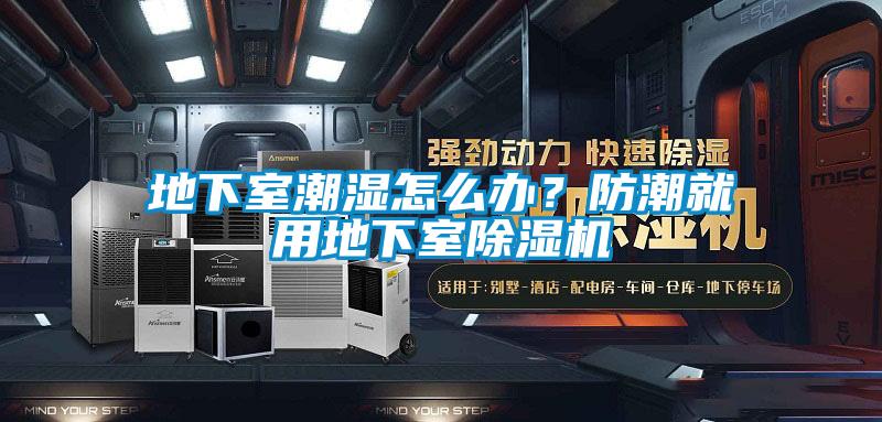 地下室潮濕怎么辦？防潮就用地下室除濕機(jī)