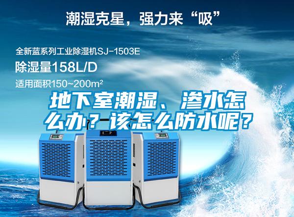 地下室潮濕、滲水怎么辦？該怎么防水呢？