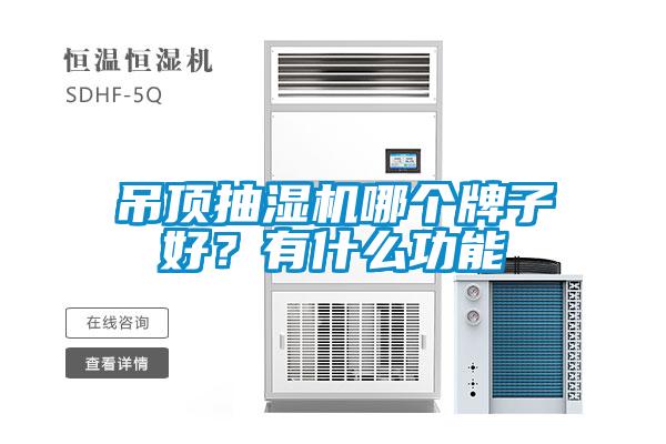 吊頂抽濕機哪個牌子好？有什么功能