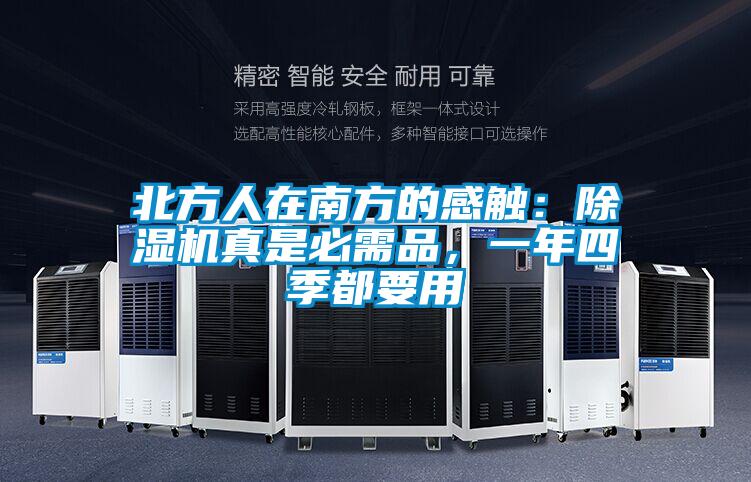 北方人在南方的感觸：除濕機真是必需品，一年四季都要用