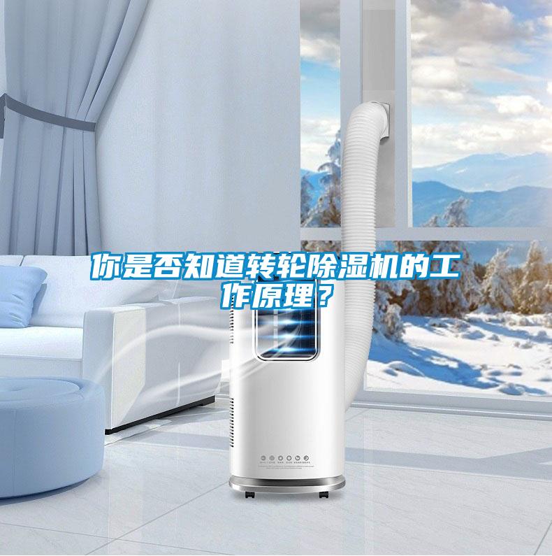你是否知道轉(zhuǎn)輪除濕機的工作原理？