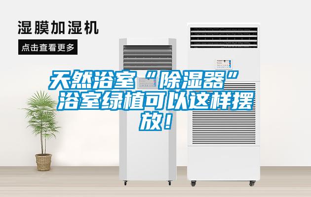 天然浴室“除濕器” 浴室綠植可以這樣擺放！