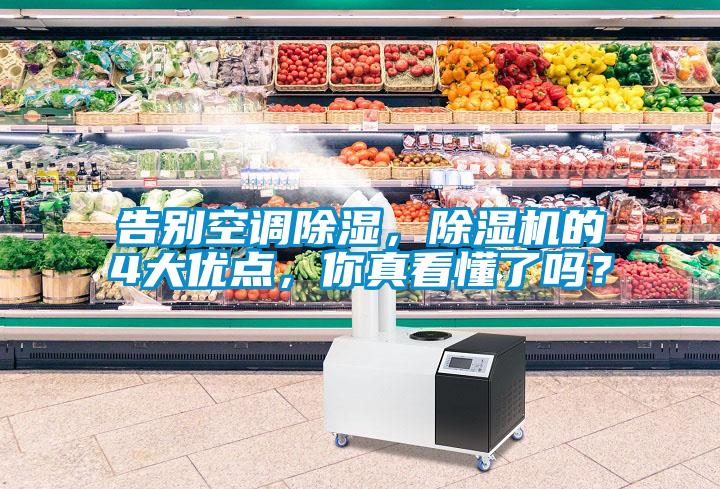 告別空調除濕，除濕機的4大優(yōu)點，你真看懂了嗎？