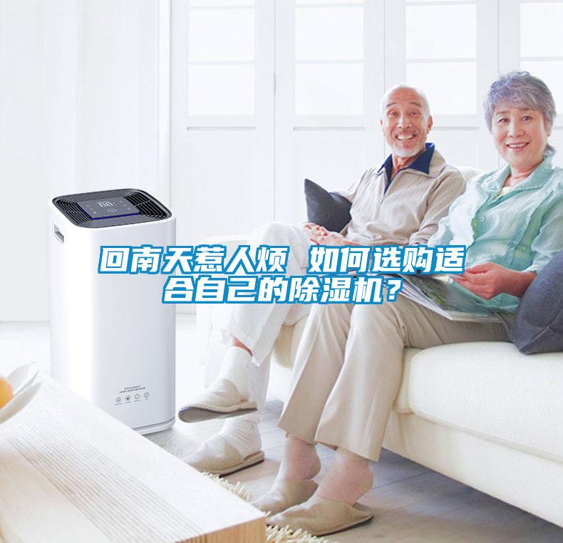 回南天惹人煩 如何選購適合自己的除濕機？