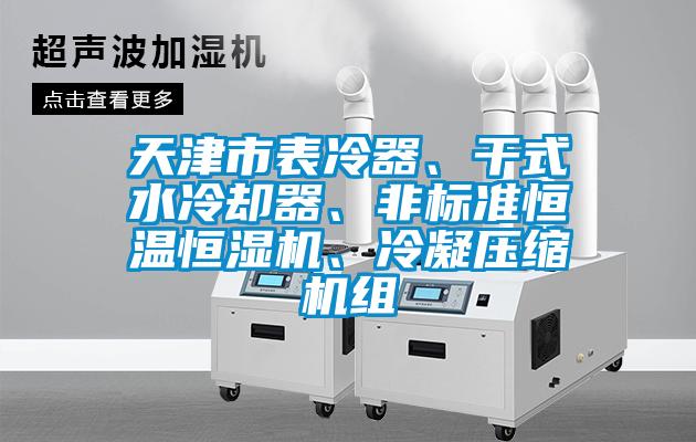 天津市表冷器、干式水冷卻器、非標準恒溫恒濕機、冷凝壓縮機組