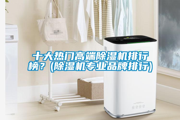 十大熱門高端除濕機(jī)排行榜？(除濕機(jī)專業(yè)品牌排行)