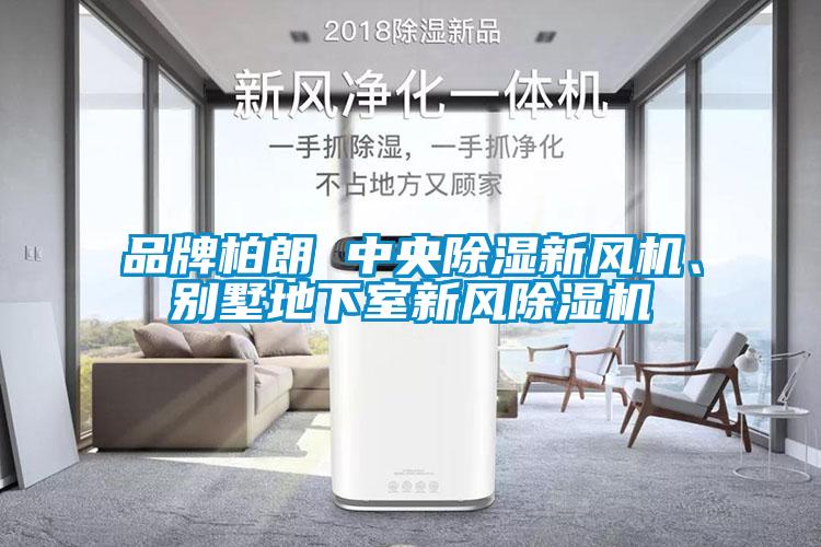 品牌柏朗 中央除濕新風(fēng)機、別墅地下室新風(fēng)除濕機