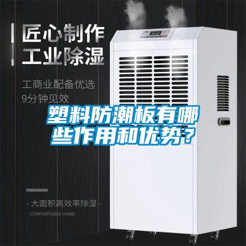 塑料防潮板有哪些作用和優(yōu)勢(shì)？