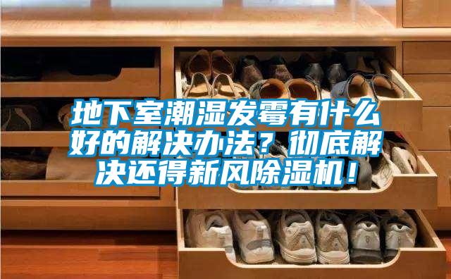 地下室潮濕發(fā)霉有什么好的解決辦法？徹底解決還得新風(fēng)除濕機(jī)！