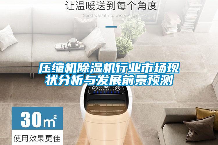 壓縮機除濕機行業(yè)市場現(xiàn)狀分析與發(fā)展前景預測