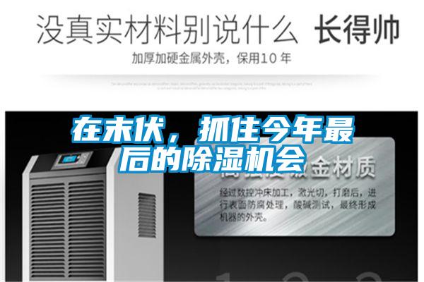 在末伏，抓住今年最后的除濕機會