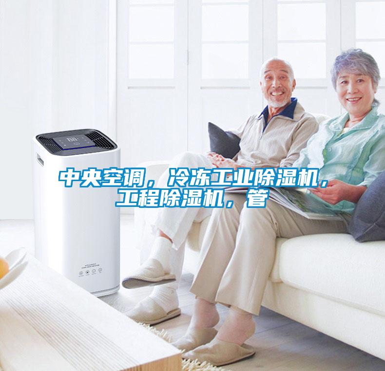 中央空調(diào)，冷凍工業(yè)除濕機，工程除濕機，管