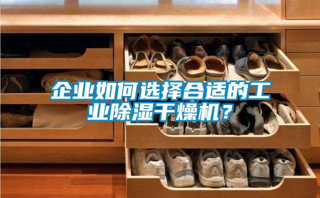 企業(yè)如何選擇合適的工業(yè)除濕干燥機(jī)？