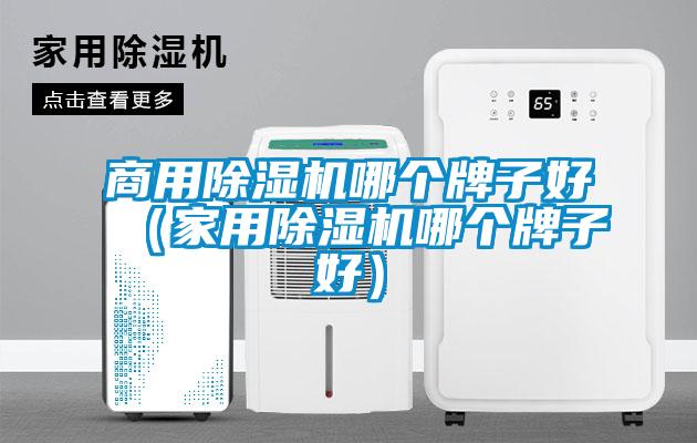 商用除濕機(jī)哪個牌子好（家用除濕機(jī)哪個牌子好）