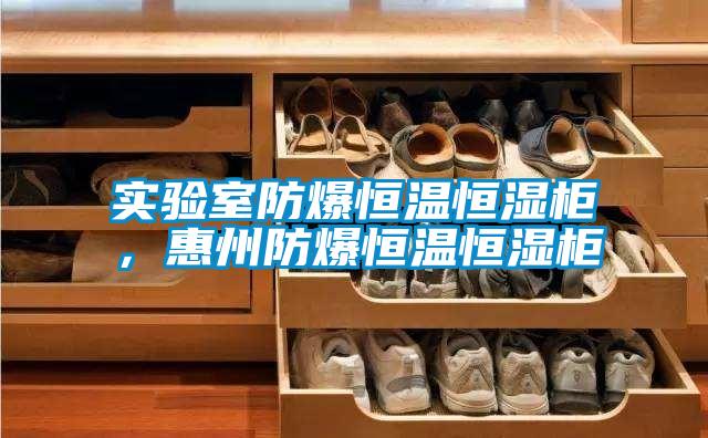 實驗室防爆恒溫恒濕柜，惠州防爆恒溫恒濕柜