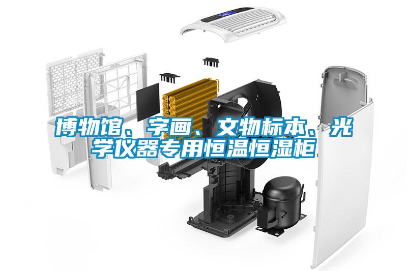 博物館、字畫、文物標(biāo)本、光學(xué)儀器專用恒溫恒濕柜