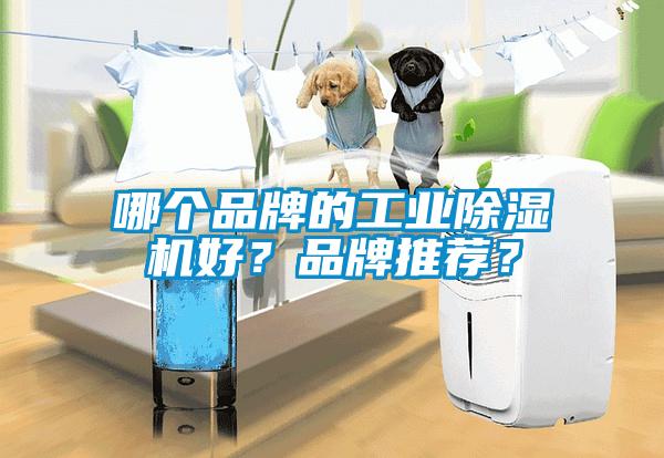 哪個(gè)品牌的工業(yè)除濕機(jī)好？品牌推薦？