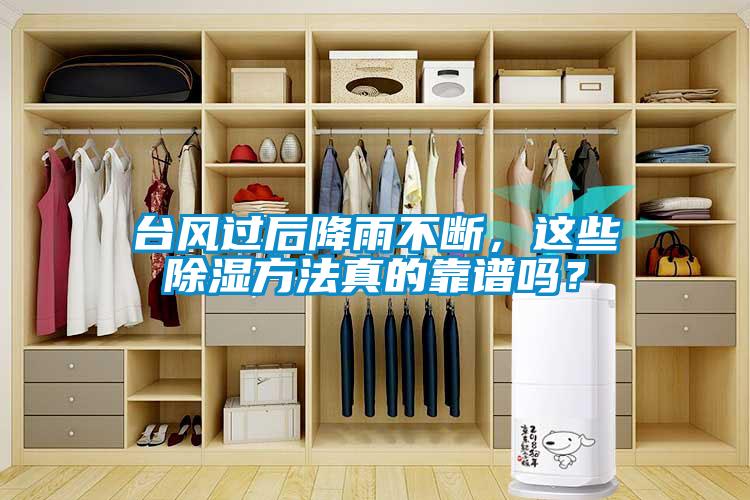 臺風(fēng)過后降雨不斷，這些除濕方法真的靠譜嗎？