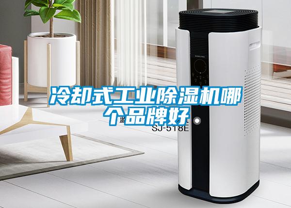 冷卻式工業(yè)除濕機(jī)哪個品牌好
